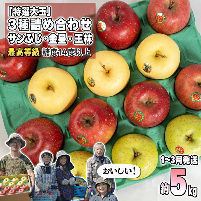 1月～3月発送 最高等級 特選大玉 3種詰め合わせ 約5kg（サンふじ・金星・王林）糖度14度以上【弘前市産・青森りんご】　【果物類・林檎・りんご・リンゴ】　お届け：2025年1月6日～2025年3月31日