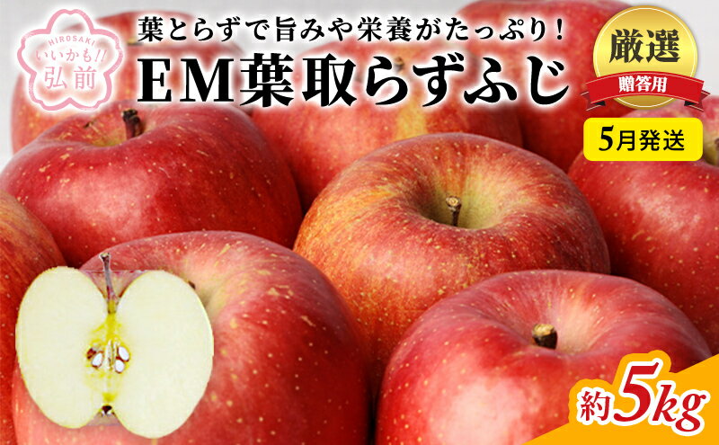 【ふるさと納税】5月発送 贈答用 EM葉取らずふじ 約5kg (有袋栽培・CA貯蔵) りんご リンゴ 林檎 ふじ 果物 くだもの フルーツ 弘前 弘前市産 青森りんご 青森　【 弘前市 】　お届け：2024年5月10日～2024年5月31日