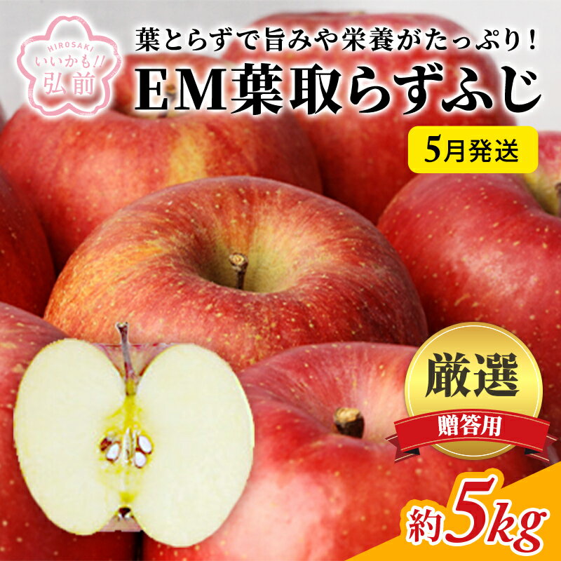 【ふるさと納税】5月発送 贈答用 EM葉取らずふじ 約5kg（有袋栽培・CA貯蔵）【弘前市産・青森りんご】...