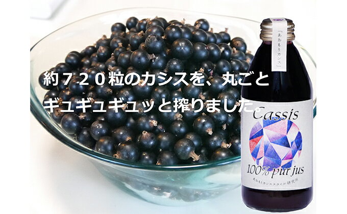 【ふるさと納税】カシス果汁100％ジュース（無加糖・無添加）　250ml×2本　【果汁飲料・ジュース】