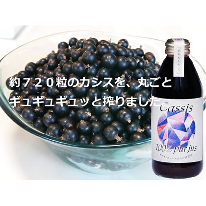 カシス果汁100％ジュース（無加糖・無添加）　250ml×2本　【果汁飲料・ジュース】