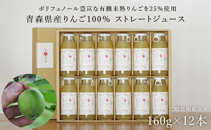 【ふるさと納税】医果同源未熟りんご入り りんごジュース 160g 12本入　【飲料類・果汁飲料・りんご・ジュース】