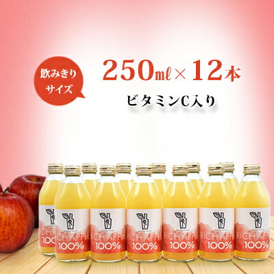 りんごジュース RICH APPLE　12本セット（250ml×12本）　【りんご・ジュース・飲料類・果汁飲料・セット】