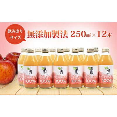 りんごジュース RICH APPLE　無添加製法　12本セット（250ml×12本）　【りんご・ジュース・飲料類・果汁飲料・セット】