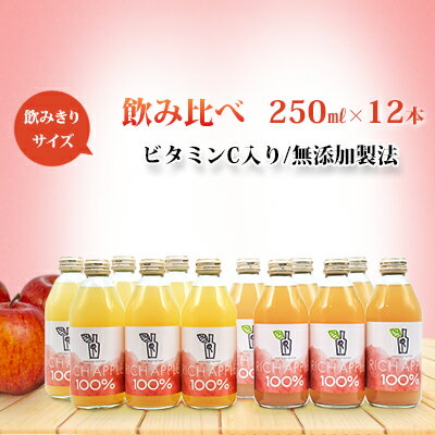 【ふるさと納税】りんごジュース RICH APPLE　飲み比べ　12本セット（250ml×12本）　【りんご・ジュース・飲料類・果汁飲料・セット】
