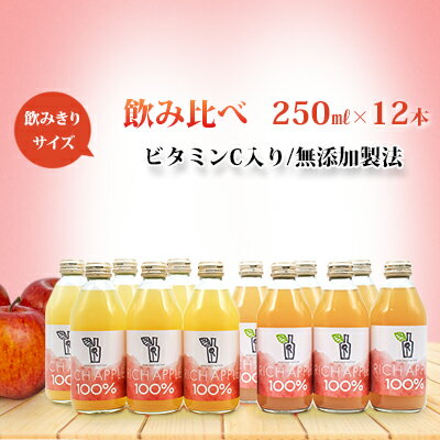 りんごジュース RICH APPLE　飲み比べ　12本セット（250ml×12本）　【りんご・ジュース・飲料類・果汁飲料・セット】