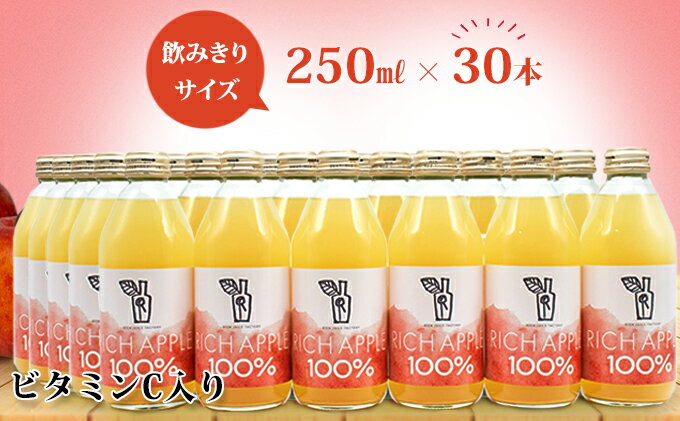 【ふるさと納税】りんごジュース RICH APPLE 　30本セット（250ml×30本）　【りんご・ジュース・飲料類・果汁飲料・セット】