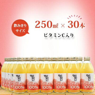 りんごジュース RICH APPLE 　30本セット（250ml×30本）　【りんご・ジュース・飲料類・果汁飲料・セット】