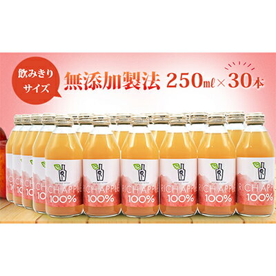 りんごジュース RICH APPLE　無添加製法　30本セット（250ml×30本）　【りんご・ジュース・飲料類・果汁飲料・セット】