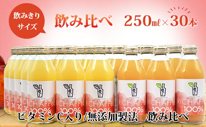 【ふるさと納税】りんごジュース RICH APPLE　飲み比べ　30本セット（250ml×30本）　【りんご・ジュース・飲料類・果汁飲料・セット】