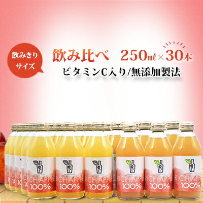 【ふるさと納税】りんごジュース RICH APPLE　飲み比べ　30本セット（250ml×30本）　【りんご・ジュース・飲料類・果汁飲料・セット】