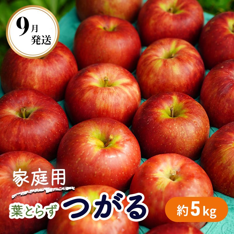 9～10月発送 家庭用 葉とらず つがる 約5kg 【弘前市産・青森りんご】　【果物類・林檎・りんご・リンゴ・約5kg・フルーツ】　お届け：2024年9月10日～2024年10月10日