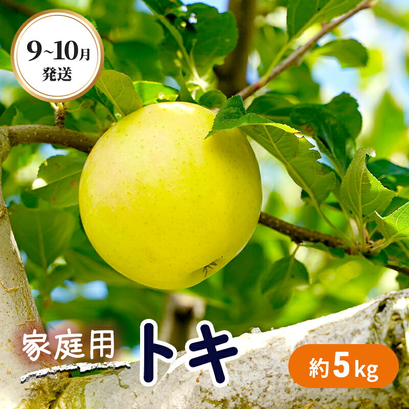 【ふるさと納税】 9～10月発送 家庭用 トキ 約5kg【弘