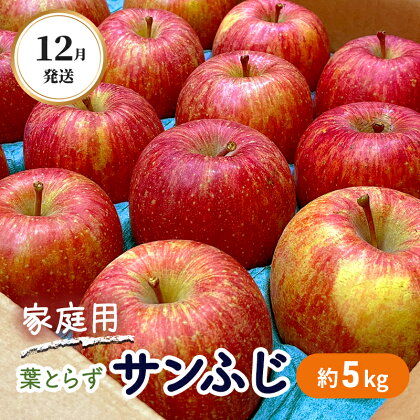 12月発送 家庭用 葉とらず サンふじ 約5kg【弘前市産・青森りんご】　【果物類・林檎・りんご・リンゴ】　お届け：2024年12月10日～2024年12月30日