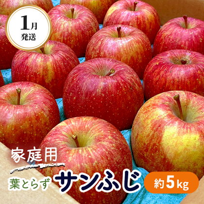 1月発送 家庭用 葉とらず サンふじ 約5kg【弘前市産・青森りんご】　【果物類・林檎・りんご・リンゴ】　お届け：2025年1月5日～2025年1月31日