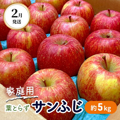 2月発送 家庭用 葉とらず サンふじ 約5kg【弘前市産・青森りんご】　【果物類・林檎・りんご・リンゴ】　お届け：2025年2月1日～2025年2月28日