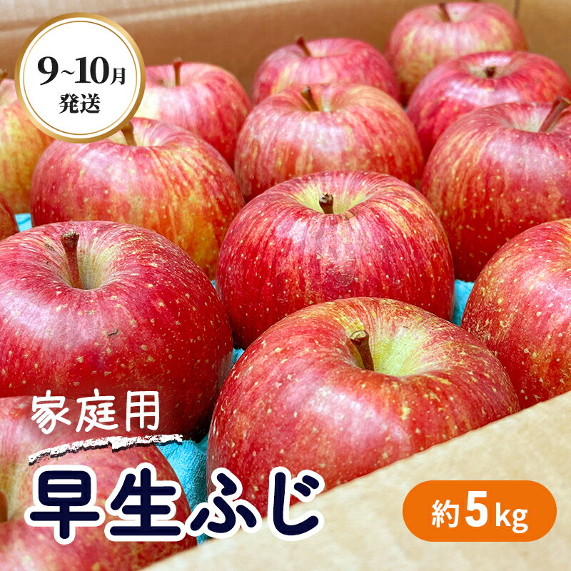 【ふるさと納税】9～10月発送 家庭用 早生ふじ 約5kg 