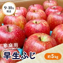 【ふるさと納税】9～10月発送 家庭用 早生ふじ 約5kg 