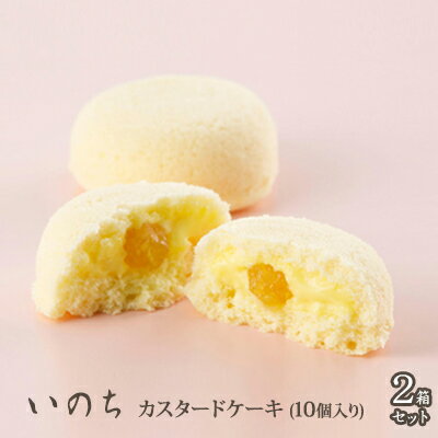 【ふるさと納税】ラグノオ「いのち」（10個入り）×2箱セット　【お菓子・ケーキ・カスタードケーキ・菓子・スイーツ】のサムネイル