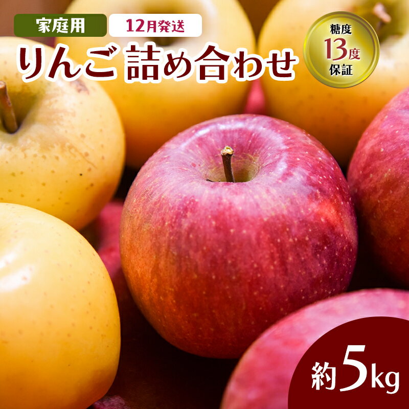 12月発送 家庭用 りんご詰め合わせ 約5kg 2種以上 糖度13度以上 岩木山観光りんご園 弘前市産 青森りんご サンふじ　　お届け：2024年12月1日～2024年12月28日