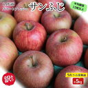 【ふるさと納税】りんご 【5月クール便発送】 平均糖度13度以上 訳あり SF CA貯蔵 サンふじ 約 5kg 【 弘前市産 青森りんご 】 リンゴ 林檎 ふじ...
