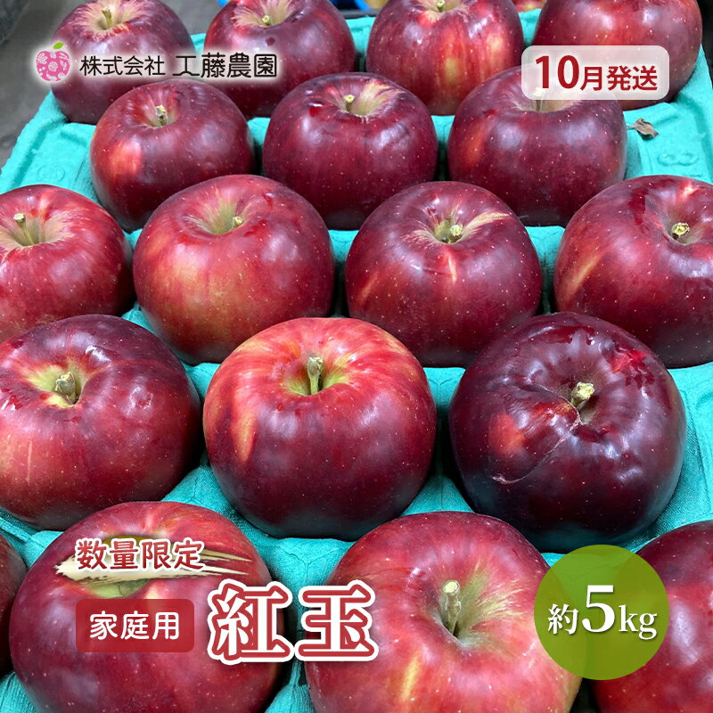 【ふるさと納税】【数量限定 10月発送】 家庭用 紅玉 約 5kg 工藤農園【弘前市産・青森りんご】　【 果物類 林檎 りんご リンゴ 紅玉 青森県産 フルーツ 果物 】　お届け：2024年10月1日～2024年10月31日