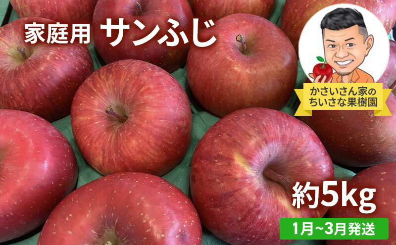 【ふるさと納税】【1月～3月発送】家庭用 サンふじ 約 5kg 【弘前市産・青森りんご】　【 果物類 フルーツ 林檎 リンゴ 津軽 青森県産 秋の味覚 おやつ デザート 】　お届け：2025年1月10日～2025年3月31日