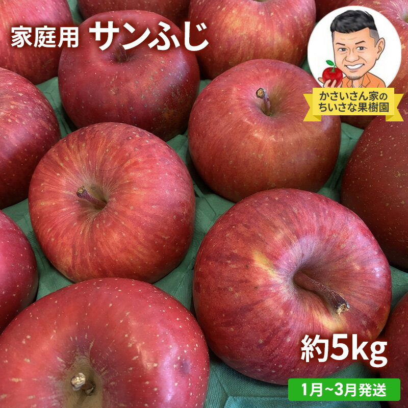 【ふるさと納税】【1月～3月発送】家庭用 サンふじ 約 5kg 【弘前市産・青森りんご】　【 果物類 フルーツ 林檎 リンゴ 津軽 青森県産 秋の味覚 おやつ デザート 】　お届け：2025年1月10日～2025年3月31日