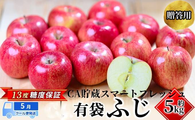 【ふるさと納税】【5月クール便発送】 (13度糖度保証) 贈答用 CA貯蔵有袋ふじ 約5kg りんご リンゴ 林檎 有袋ふじ ふじ 果物 くだもの フルーツ 弘前 弘前市産 青森りんご 青森　【 弘前市 】　お届け：2024年5月8日～2024年5月31日