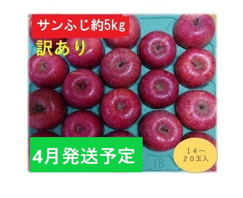 【ふるさと納税】4月発送CA貯蔵 【訳あり】 家庭用 百年木の香 サンふじ 約5kg 有機肥料100％【弘前市産・青森りんご】　【 果物 フルーツ 食後 デザート 青森県産 青森のりんご 食べ物 産地直送 国産 日本産 】　お届け：2024年4月3日～2024年4月30日