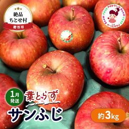 【ふるさと納税】【1月発送】贈答用 絶品 ちとせ村 葉とらずサンふじ 約3kg【弘前市産・青森りんご】　【 果物 フルーツ デザート 食後 国産 食べ物 贈り物 ギフト 】　お届け：2025年1月6日～2025年1月31日