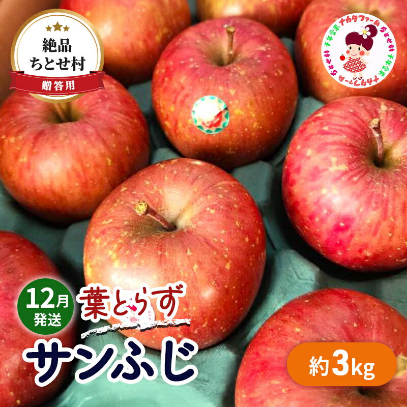 贈答用 絶品 ちとせ村 葉とらずサンふじ 約3kg　　お届け：2024年12月1日～2024年12月20日