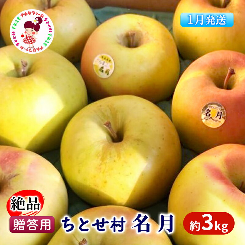 [1月発送]贈答用 絶品 ちとせ村 名月 約3kg[弘前市産・青森りんご] [果物類・林檎・りんご・リンゴ] お届け:2025年1月6日〜2025年1月31日