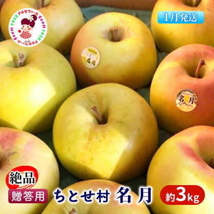 【1月発送】贈答用 絶品 ちとせ村 名月 約3kg【弘前市産・青森りんご】　【果物類・林檎・りんご・リンゴ】　お届け：2025年1月6日～2025年1月31日