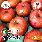 【ふるさと納税】【2月発送】贈答用 絶品 ちとせ村 葉とらずサンふじ 約3kg【弘前市産・青森りんご】　【 果物 フルーツ デザート 食後 国産 食べ物 贈り物 ギフト 】　お届け：2025年2月1日～2025年2月28日