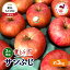 【ふるさと納税】【2月発送】贈答用 絶品 ちとせ村 葉とらずサンふじ 約3kg【弘前市産・青森りんご】　【 果物 フルーツ デザート 食後 国産 食べ物 贈り物 ギフト 】　お届け：2025年2月1日～2025年2月28日