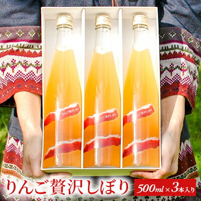 【ふるさと納税】りんご贅沢しぼり500ml（3本入り）　【 