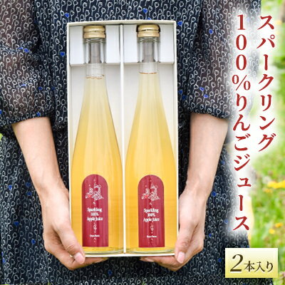 11位! 口コミ数「0件」評価「0」スパークリング100%りんごジュース（2本入り）　【 飲料類 果汁飲料 飲み物 りんご果汁100％ アップルジュース 炭酸飲料 すっきり 】