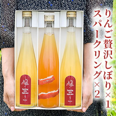 りんご贅沢しぼり×1　スパークリング×2　【 飲料類 果汁飲料 飲み物 リンゴジュース アップルジュース 炭酸飲料 果汁100％ 飲み比べ 】