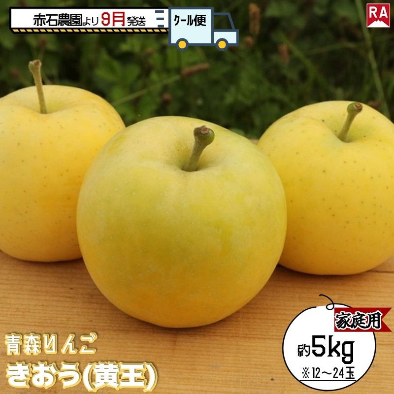 【ふるさと納税】りんご 【 9月 クール便発送 】 家庭用 きおう ( 黄王 ) 約 5kg 【 弘前市産 青森りんご 】 REDAPPLE 青森県産 黄色いりんご お届け:2025年9月1日~2025年9月30日