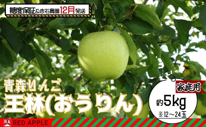 【ふるさと納税】りんご 【 12月発送 】 13度糖度保証 家庭用 王林 約 5kg 【 弘前市産 青森りんご 果物 フルーツ 食後 デザート 旬の果物 旬のフルーツ シャキシャキ みずみずしい 】　お届け：2025年12月1日～2025年12月27日