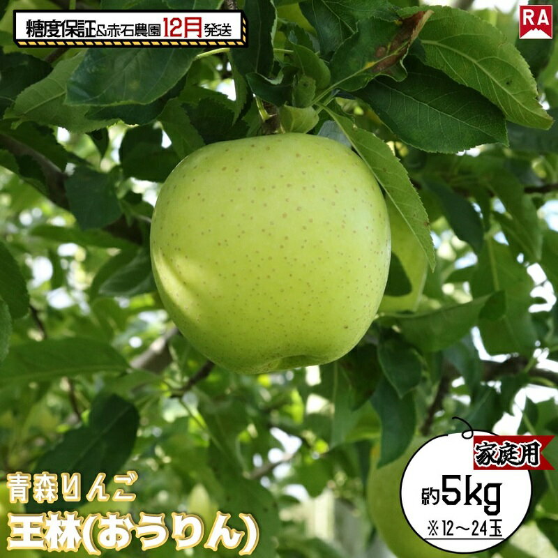 【ふるさと納税】りんご 【 12月発送 】 13度糖度保証 家庭用 王林 約 5kg 【 弘前市産 青森りんご 果物 フルーツ 食後 デザート 旬の果物 旬のフルーツ シャキシャキ みずみずしい 】 お届け:2025年12月1日~2025年12月27日