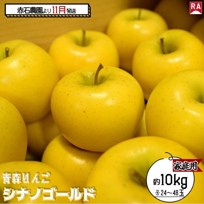 【ふるさと納税】りんご 【 11月発送 】 家庭用 シナノゴールド 約 10kg 【 弘前市産 青森りんご 果物類 林檎 リンゴ 】 お届け:2025年11月1日~2025年11月30日