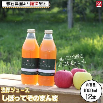 18位! 口コミ数「0件」評価「0」【順次出荷】 濃厚りんごジュース『しぼって そのまんま』 1L×12本　【 飲料類 果汁飲料 添加物不使用 りんご100％ジュース アップル･･･ 