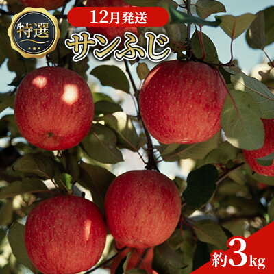 12月発送 特選 サンふじ 約3kg 【弘前市産・青森りんご】　【弘前市】　お届け：2024年12月1日～2024年12月25日