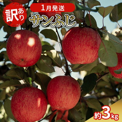 【ふるさと納税】1月発送 訳あり サンふじ 約3kg 【弘前