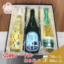 【ふるさと納税】弘前シードル 飲み比べ ドライ 3種セット　【 お酒 飲み比べ りんごのスパークリングワイン スパークリングワイン 辛口 フルーティー スッキリ 控えめな甘味 】