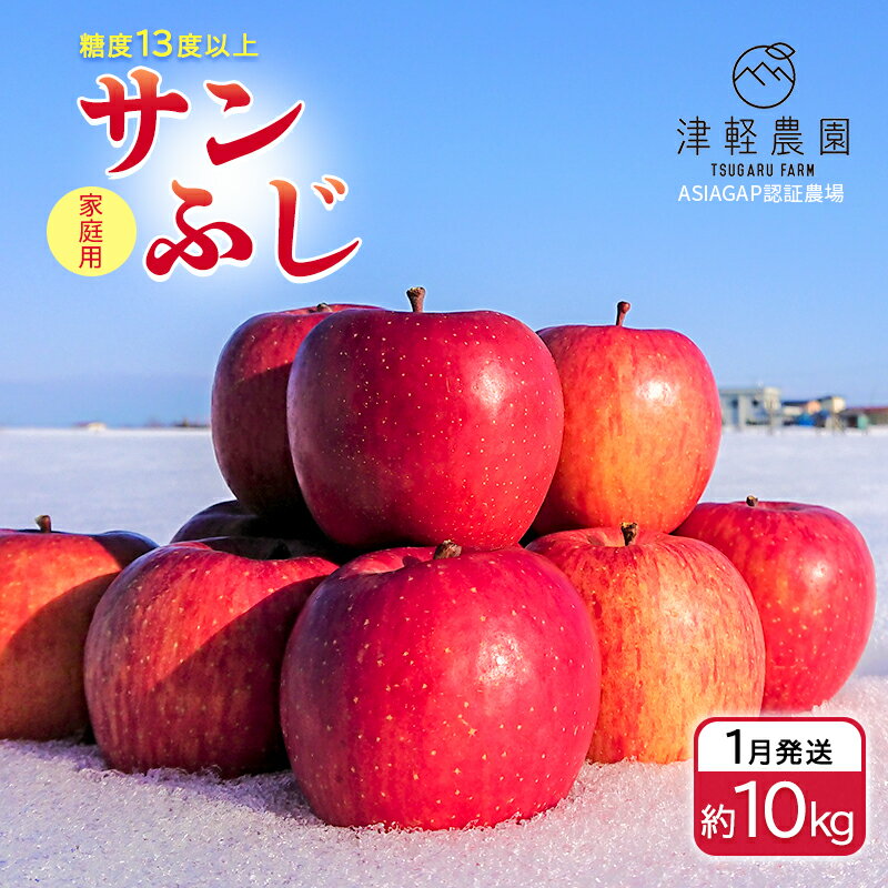 【ふるさと納税】1月発送【糖度13度以上 サンふじ】家庭用 約10kg 26～40玉程度 ASIAGAP認証農場 津軽農園【弘前市産・青森りんご】 　お届け：2025年1月6日～2025年1月31日のサムネイル