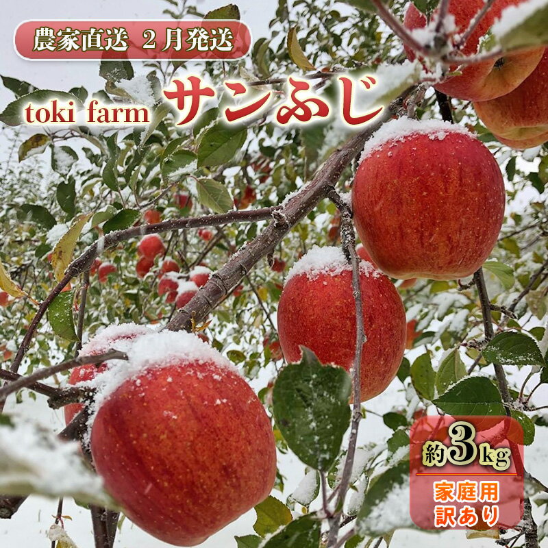 【ふるさと納税】【2月発送】toki farm 家庭用 サン