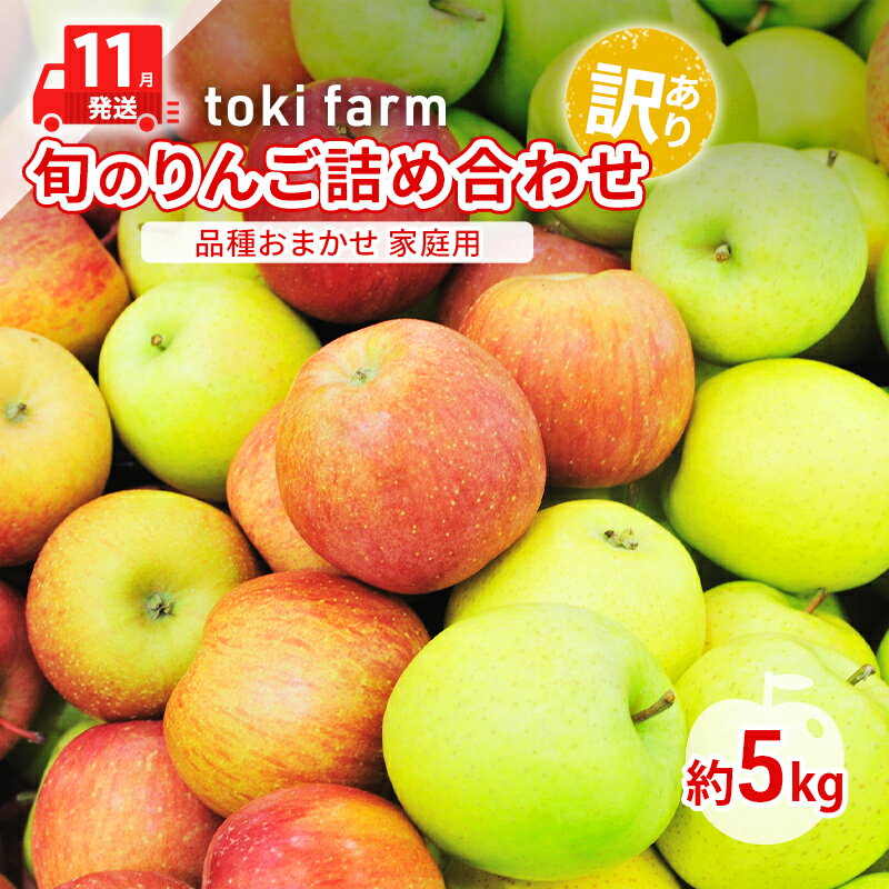 【ふるさと納税】【11月発送】toki farm 旬のりんご